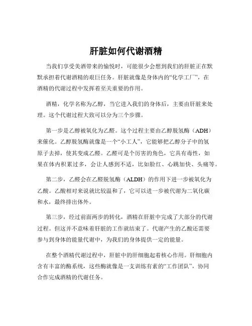 肝脏如何代谢酒精