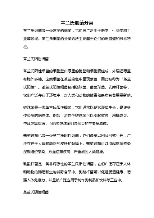 革兰氏细菌分类