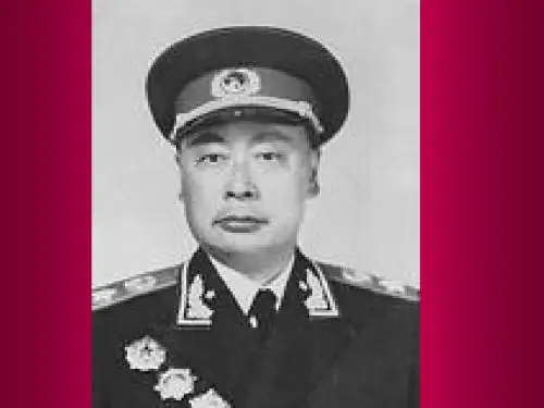 陈毅市长