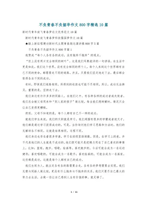 不负青春不负韶华作文800字精选10篇