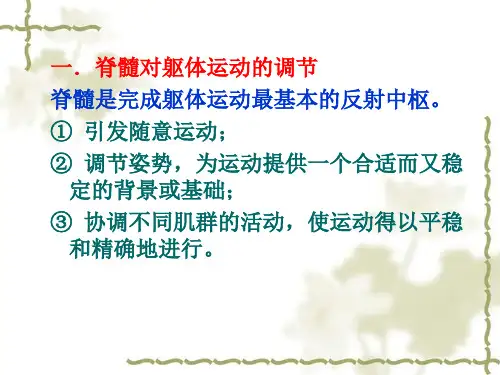 神经对姿势运动的调节