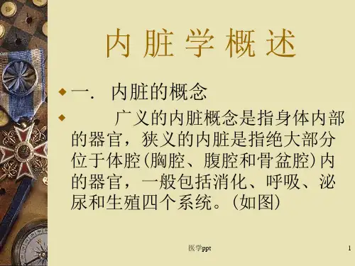 动物解剖组织胚胎及生理学