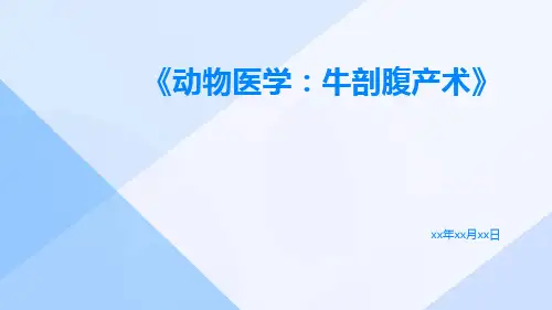 动物医学：牛剖腹产术