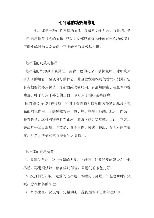 七叶莲的功效与作用.doc