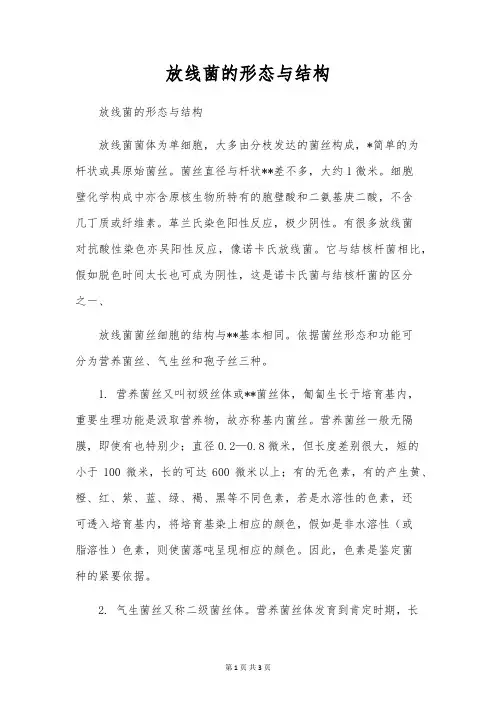 放线菌的形态与结构