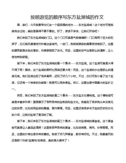 按照游览的顺序写东方盐湖城的作文