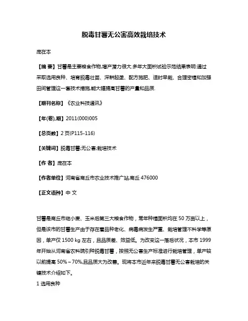 脱毒甘薯无公害高效栽培技术