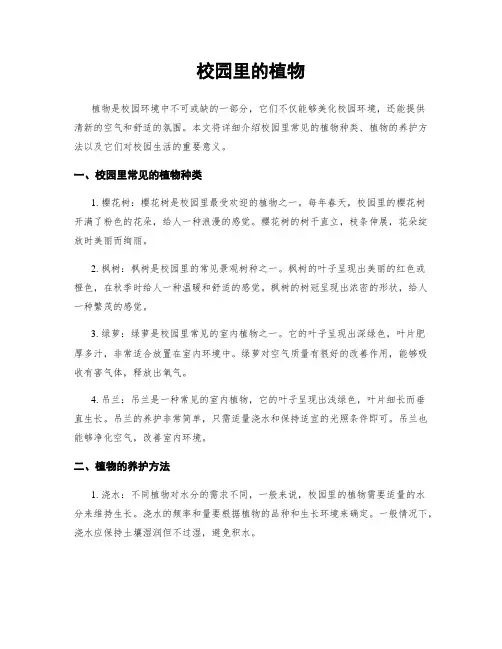 校园里的植物