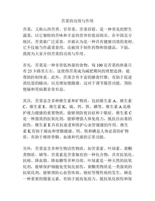 苦菜的功效与作用