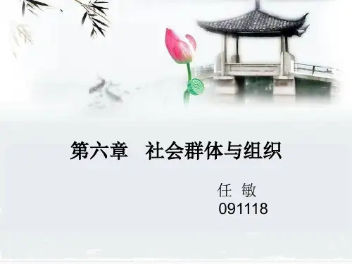 社会学概论社会群体与组织