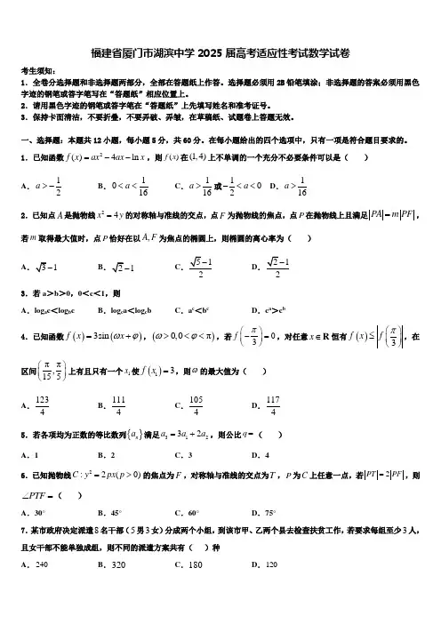 福建省厦门市湖滨中学2025届高考适应性考试数学试卷含解析