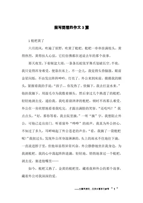 描写琵琶的作文3篇