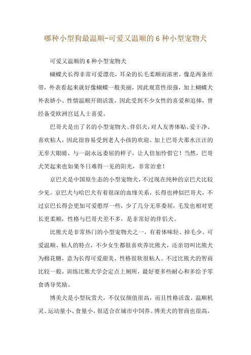 哪种小型狗最温顺-可爱又温顺的6种小型宠物犬