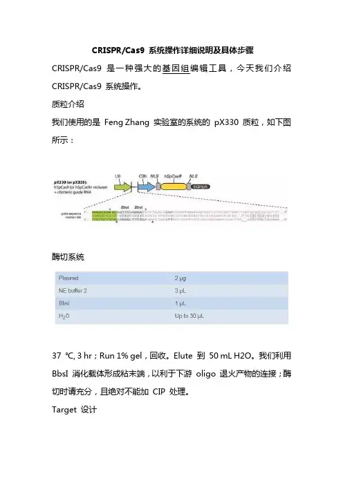 CRISPR Cas9 系统操作详细说明及具体步骤