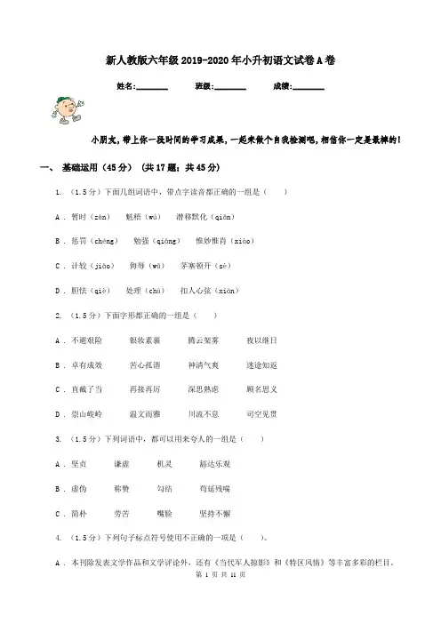 新人教版六年级2019-2020年小升初语文试卷A卷