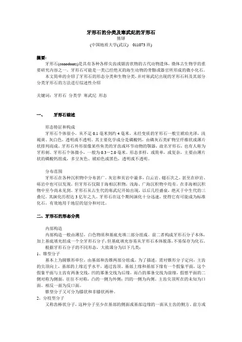 牙形石的分类及寒武纪的牙形石