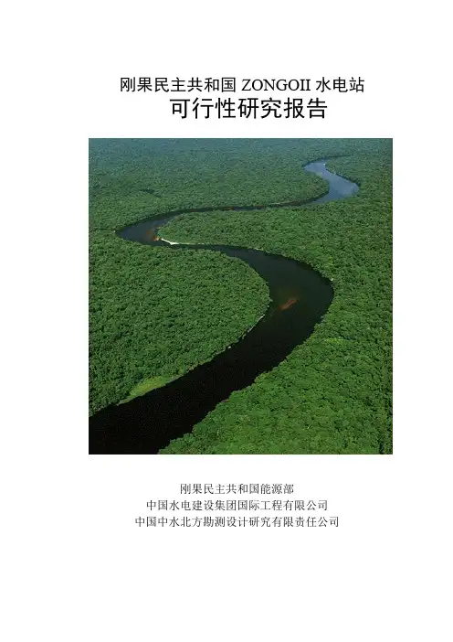 刚果民 主共和国ZONGOII水电站可行性研究报告