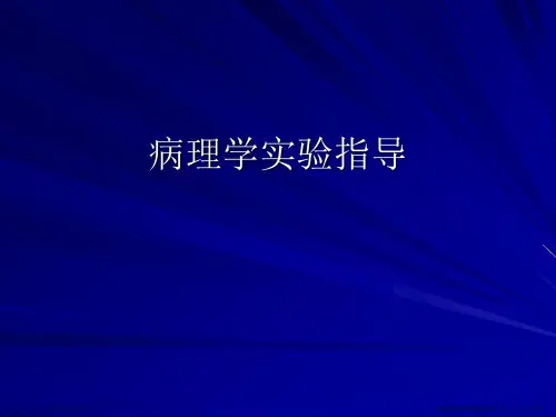 病理学实验指导