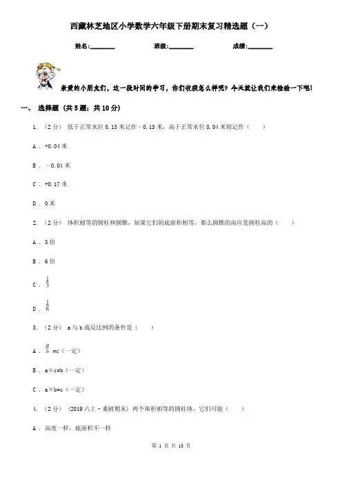 西藏林芝地区小学数学六年级下册期末复习精选题(一)