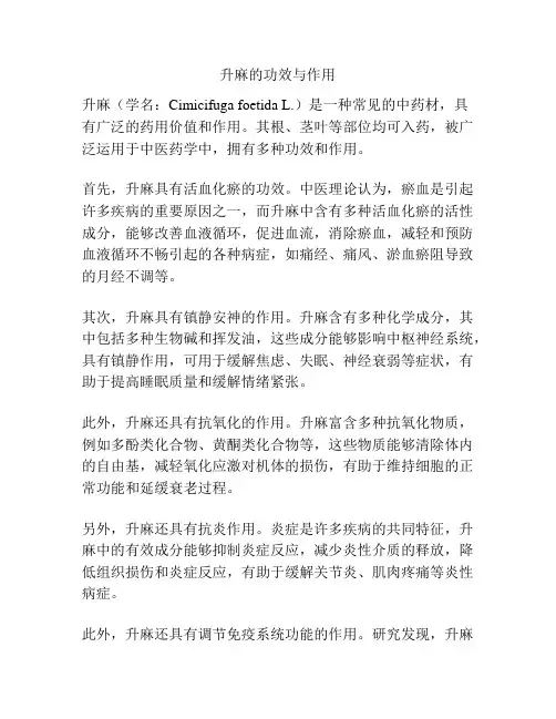 升麻的功效与作用