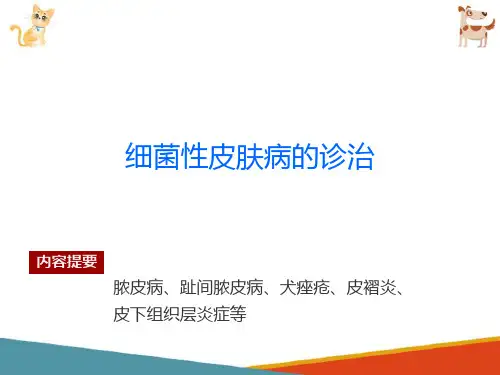 宠物常见皮肤病—细菌性皮肤病的诊治