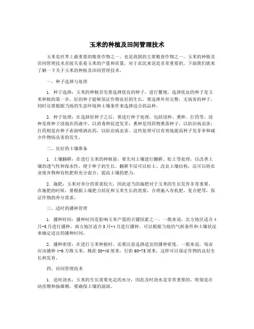 玉米的种植及田间管理技术
