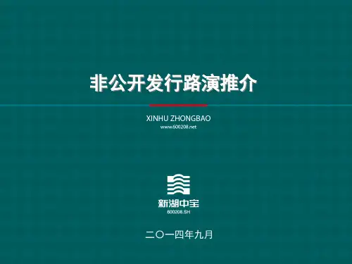 新湖中宝非公开发行路演推介 0911PPT课件