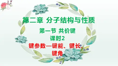 共价键(第2课时键参数——键能、键长与键角)高二化学同步课件精讲及习题精练