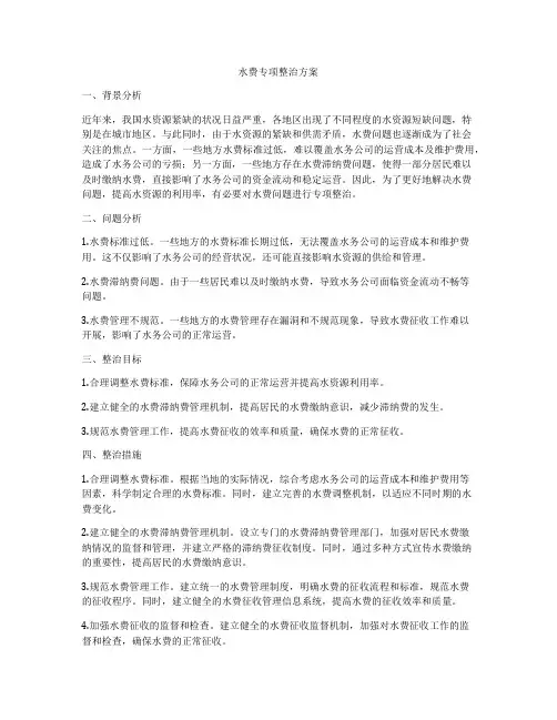 水费专项整治方案