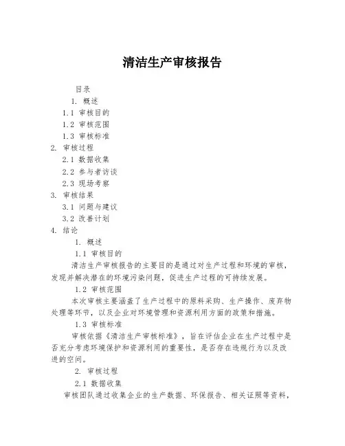 清洁生产审核报告