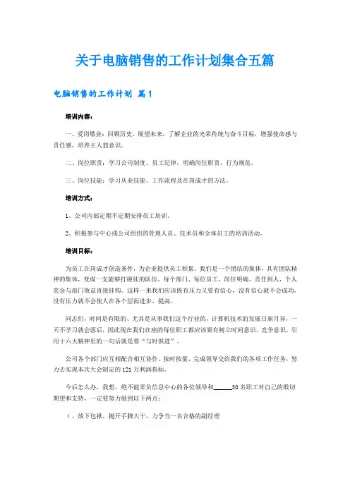 关于电脑销售的工作计划集合五篇