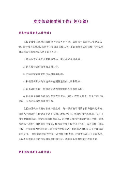 党支部宣传委员工作计划(6篇)