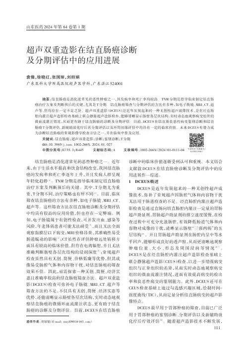 超声双重造影在结直肠癌诊断及分期评估中的应用进展