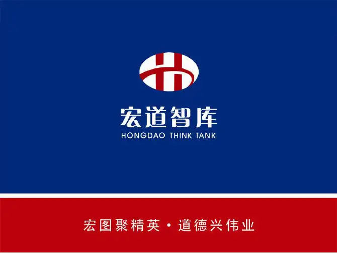 宏道智库简介2010