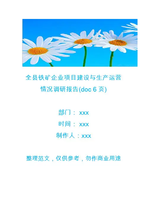 全县铁矿企业项目建设与生产运营情况调研报告(doc 6页)