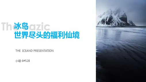 简述冰岛的社会保障制度