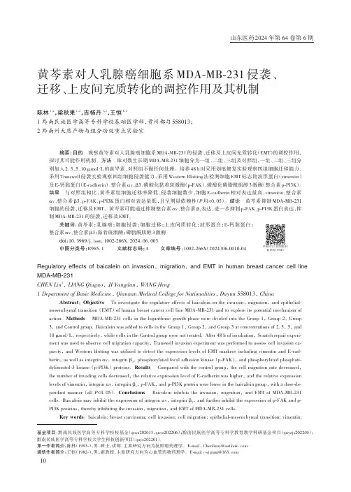 黄芩素对人乳腺癌细胞系MDA-MB-231_侵袭、迁移、上皮间充质转化的调控作用及其机制