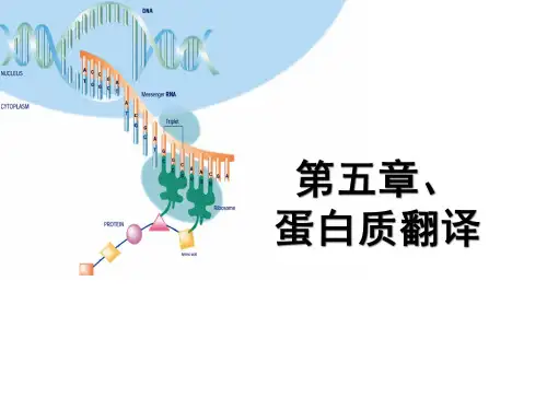 9. 蛋白质翻译(1)