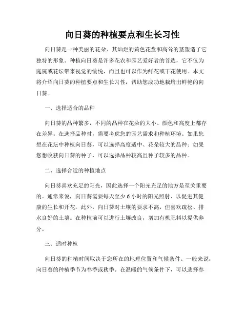 向日葵的种植要点和生长习性