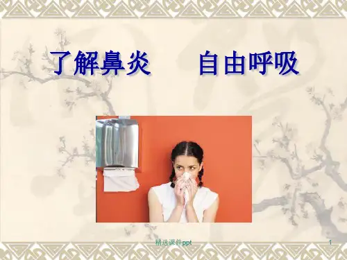 鼻炎鼻窦炎