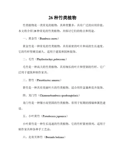 26种竹类植物