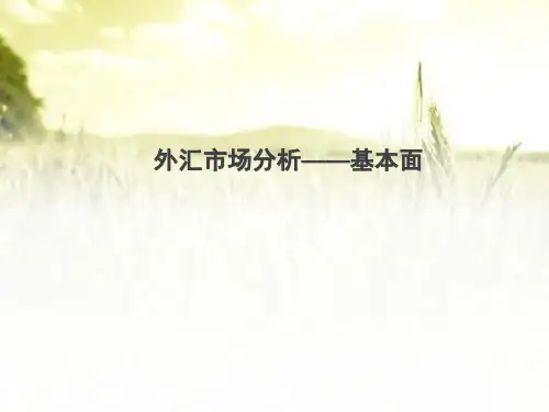 外汇市场基本面分析 PPT
