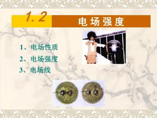 1.2《电场》PPT课件