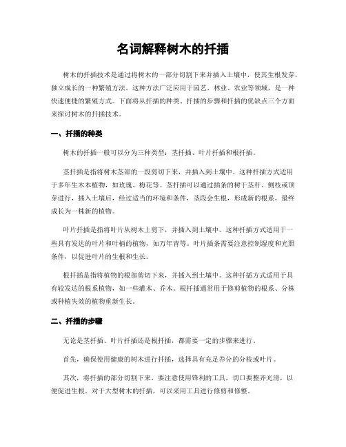 名词解释树木的扦插