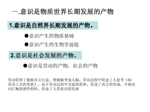 5.2-意识的本质和作用
