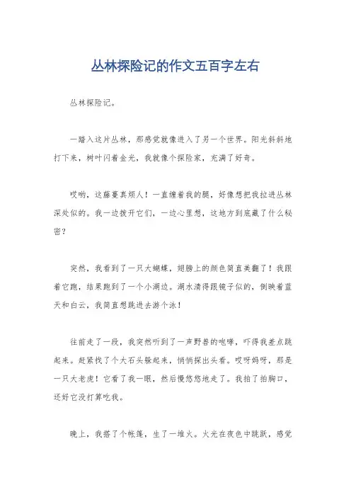 丛林探险记的作文五百字左右