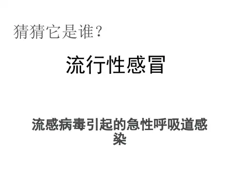 流行性感冒介绍.ppt