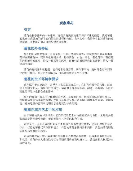 观察菊花作文