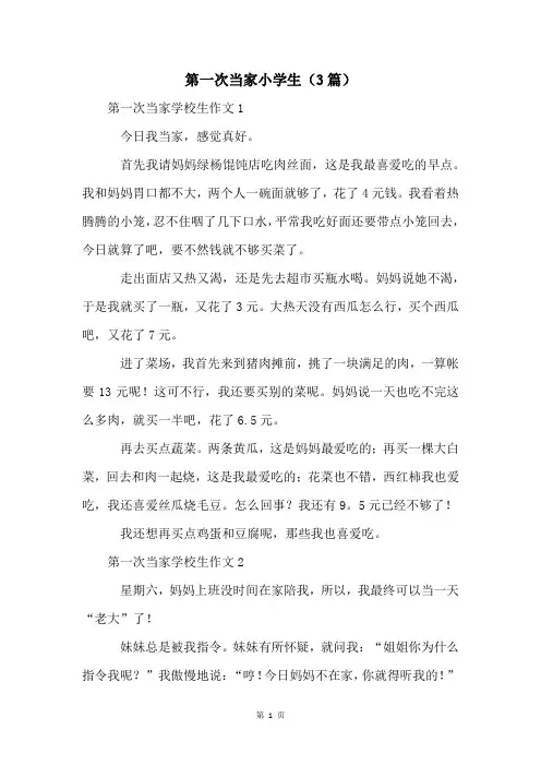 第一次当家小学生(3篇)