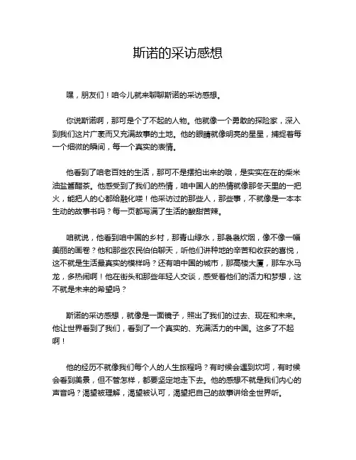 斯诺的采访感想